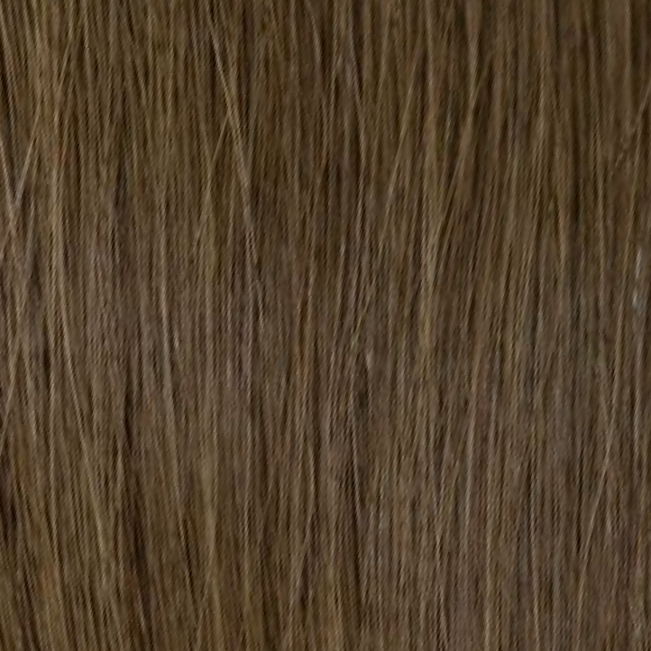 Cocoa Bean